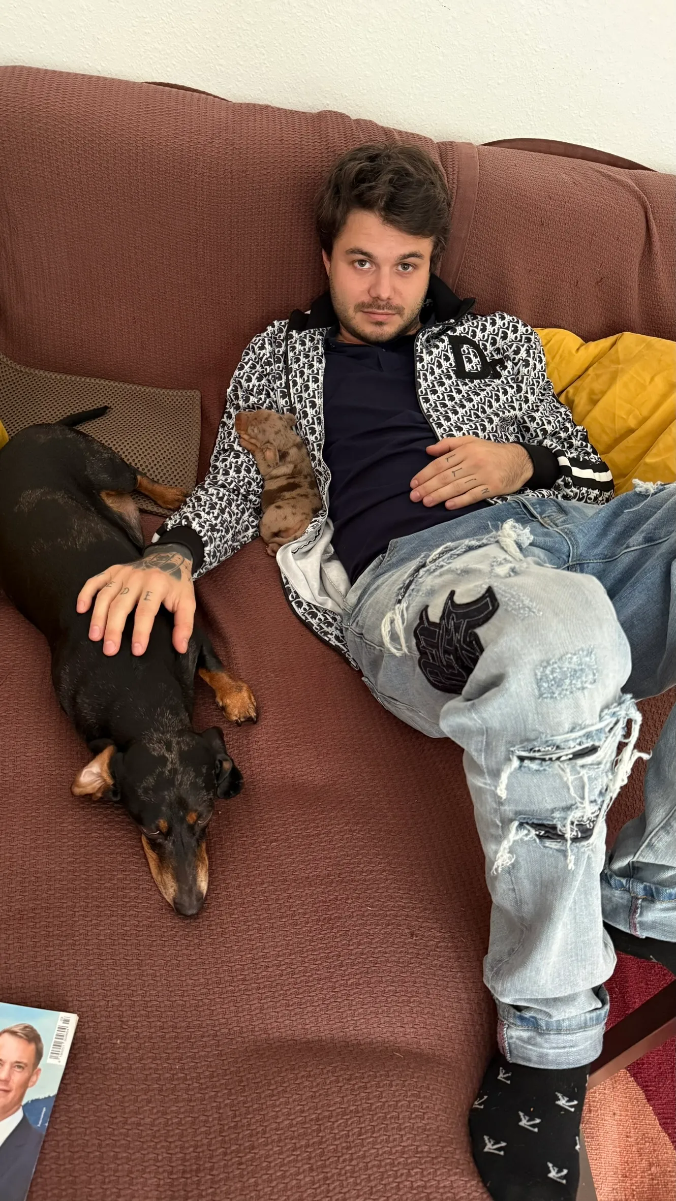 Erwachsener Dackel und Welpe auf dem Sofa